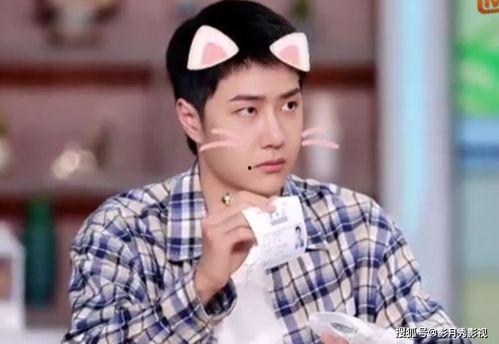 王一 博 家庭背景,出身名门，才华横溢的影视新星