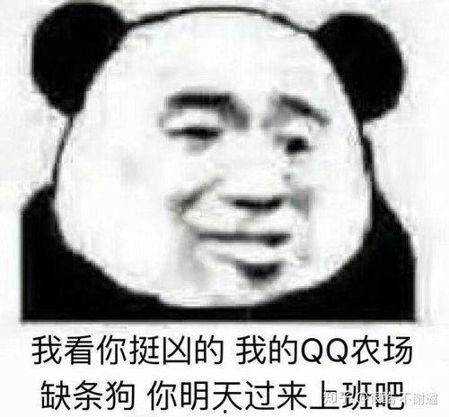 教官表情包呕吐表情包,呕吐表情包带你领略军营幽默风潮